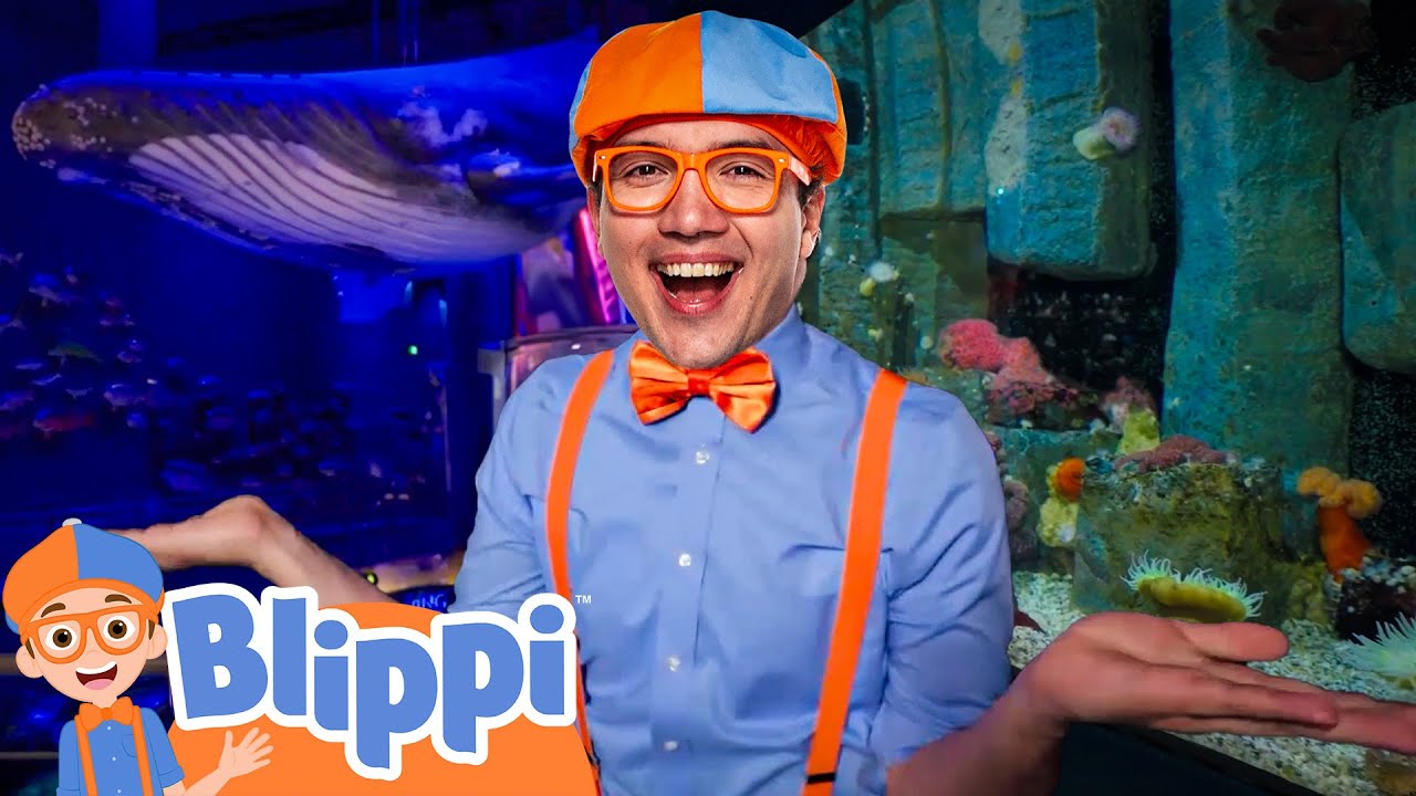 Blippi's Aquarium Adventure! 🐠 Learn about Fish! | NEW 🔍 Captioned Videos | Blippi Preschool