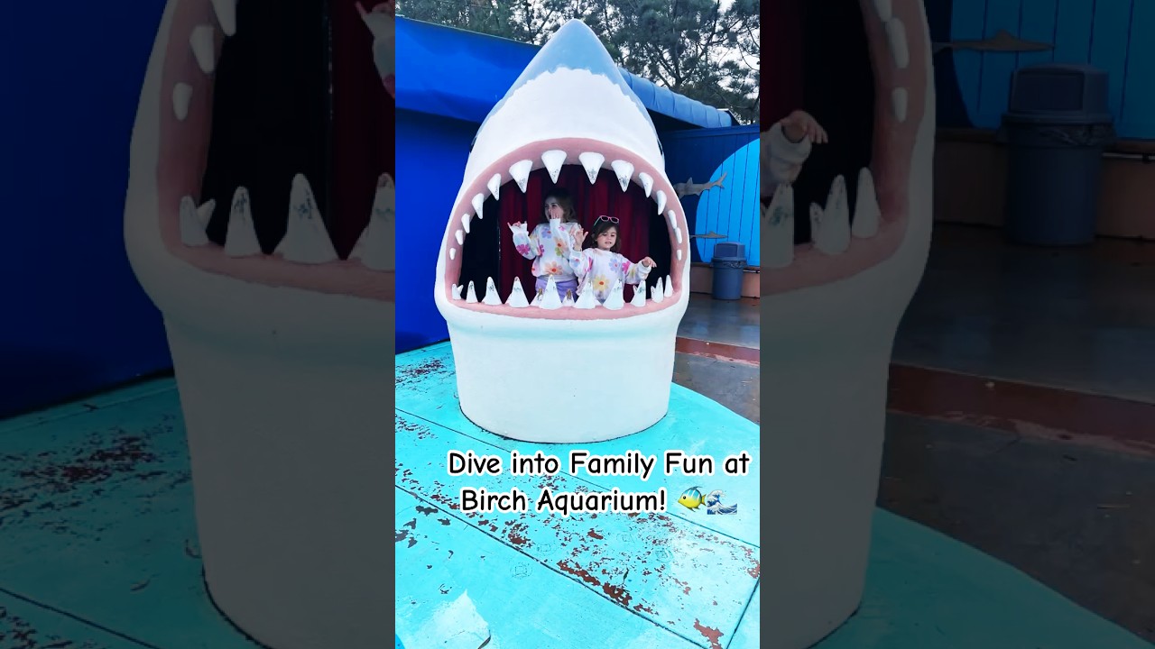 Dive into Family Fun at Birch Aquarium! 🐠🌊