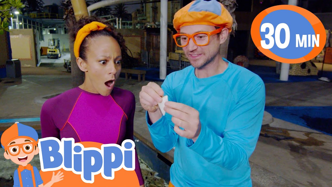 Aquarium Fun With Friends + More | Blippi Educational Videos For Kids | Music Show | Magic And Music