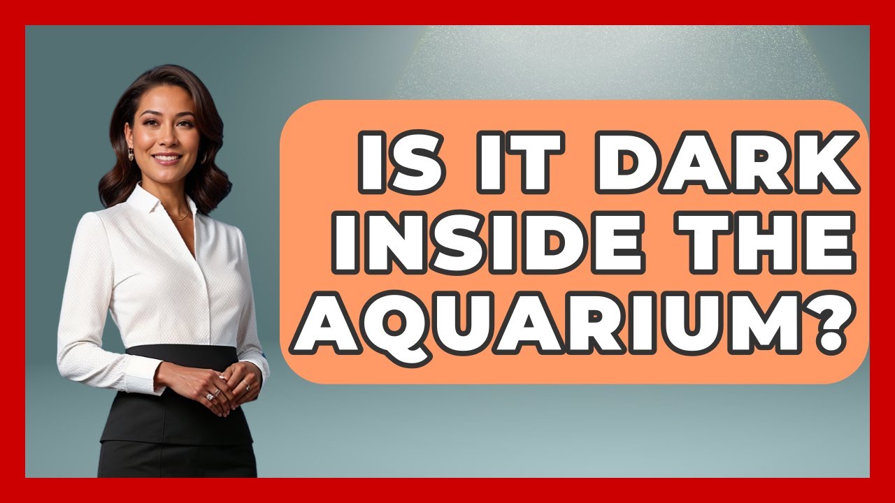Is It Dark Inside The Aquarium? – The Family Getaway Guide