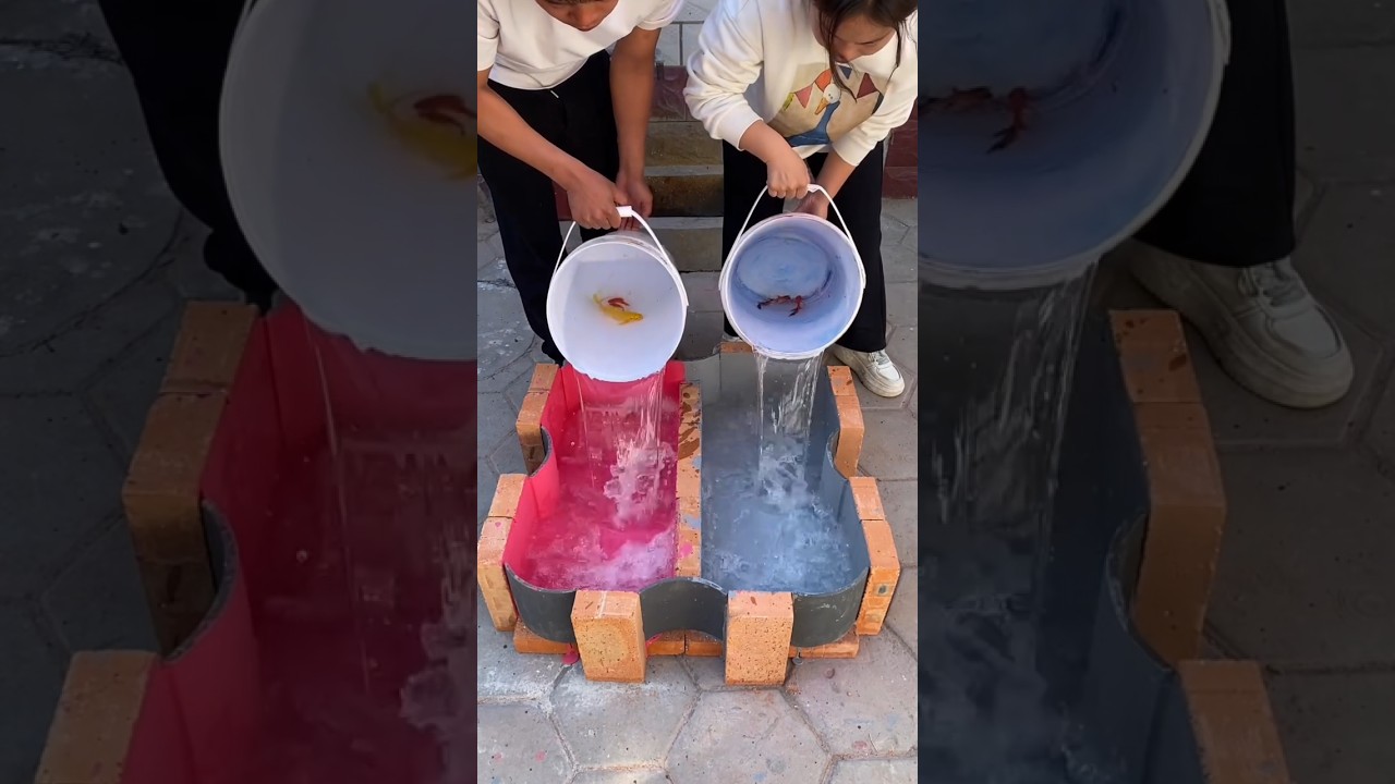 Mom and dad make a fish aquarium 🔥#shorts #ytshorts