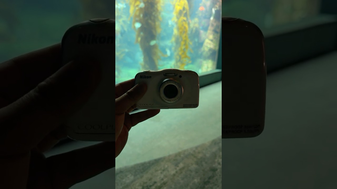 Digicam at the Aquarium!