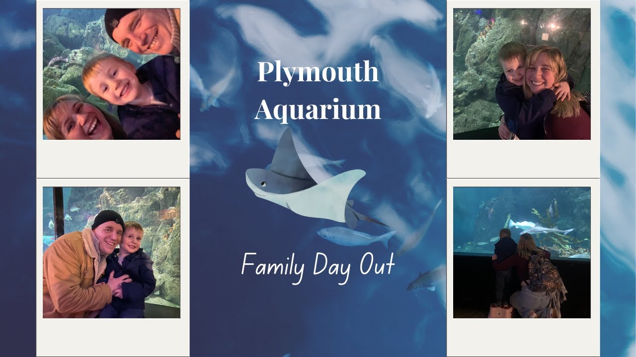 Day Trip to Plymouth Aquarium – Family of 3 Day Out