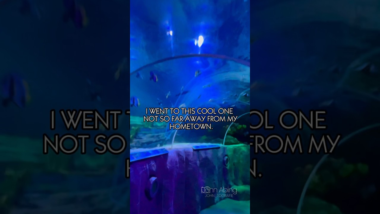 This happened to me in an aquarium #chkchkboom #straykids #stay #aquarium #photography