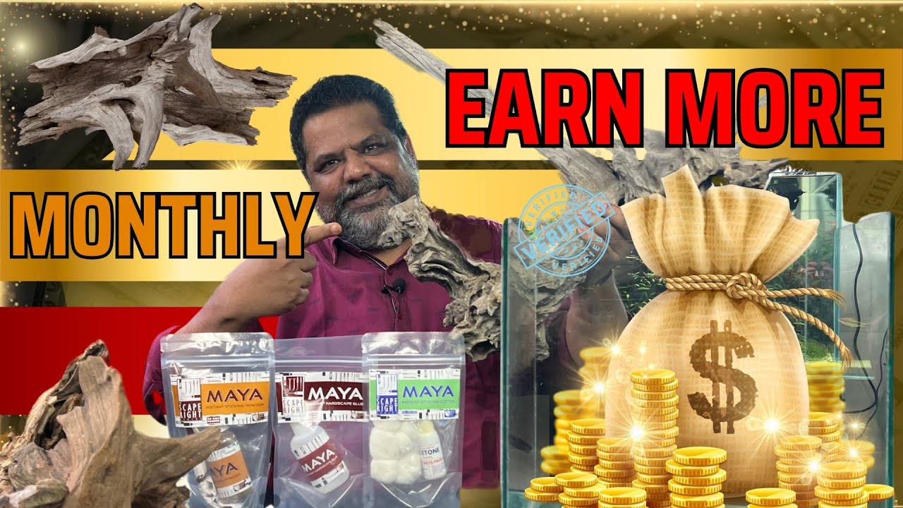 5 WAYS to Create a MAGICAL Driftwood Hardscape & Earn Money, Aquarium Shops Don’t Want You To Know!