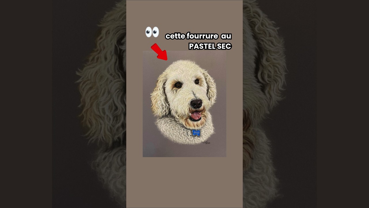 CE GOLDENDOODLE est plus vrai qu'une peluche ? 🐶 Dessin au PASTEL SEC (TIMELAPSE) #shorts
