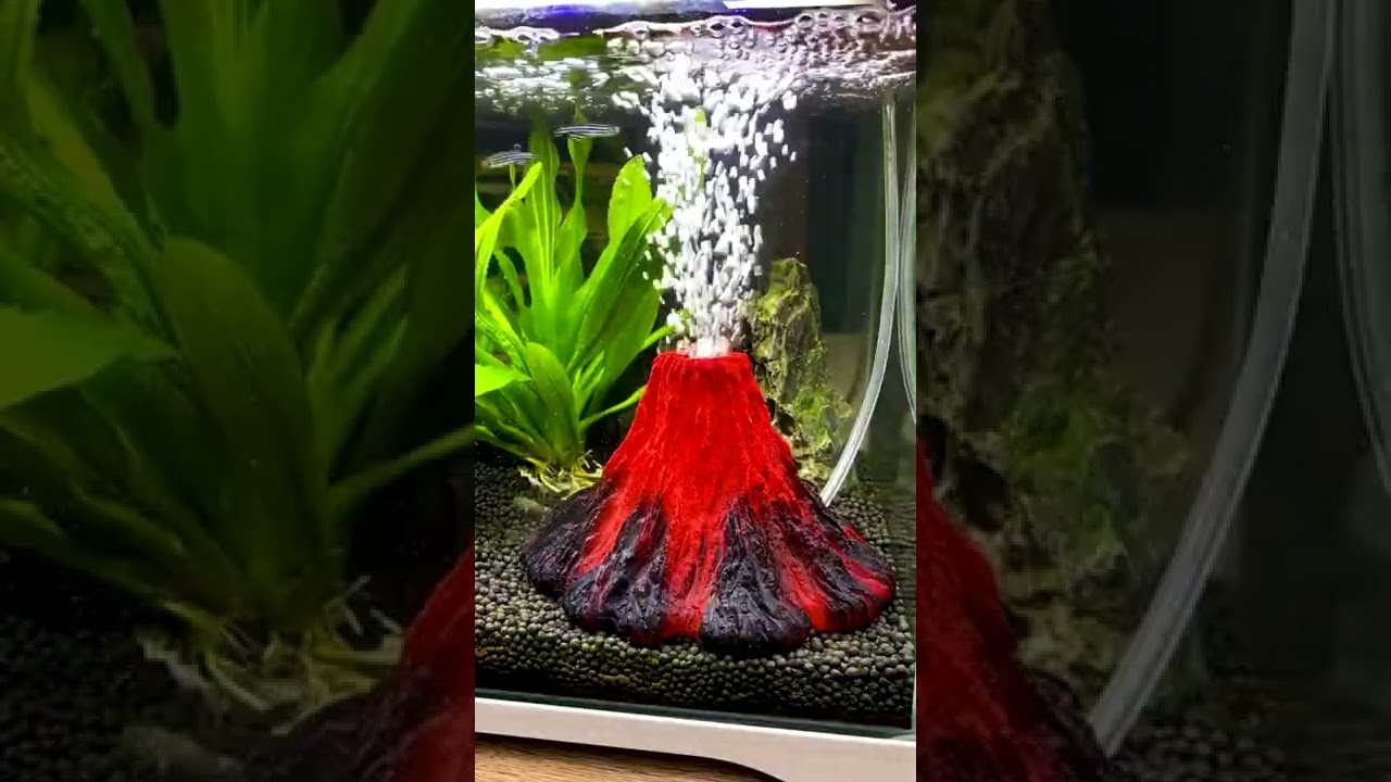 Smart Appliance Gadget For Home Invention 😍 Aquarium Volcano Ornament Kit #shorts #gadgets #tiktok