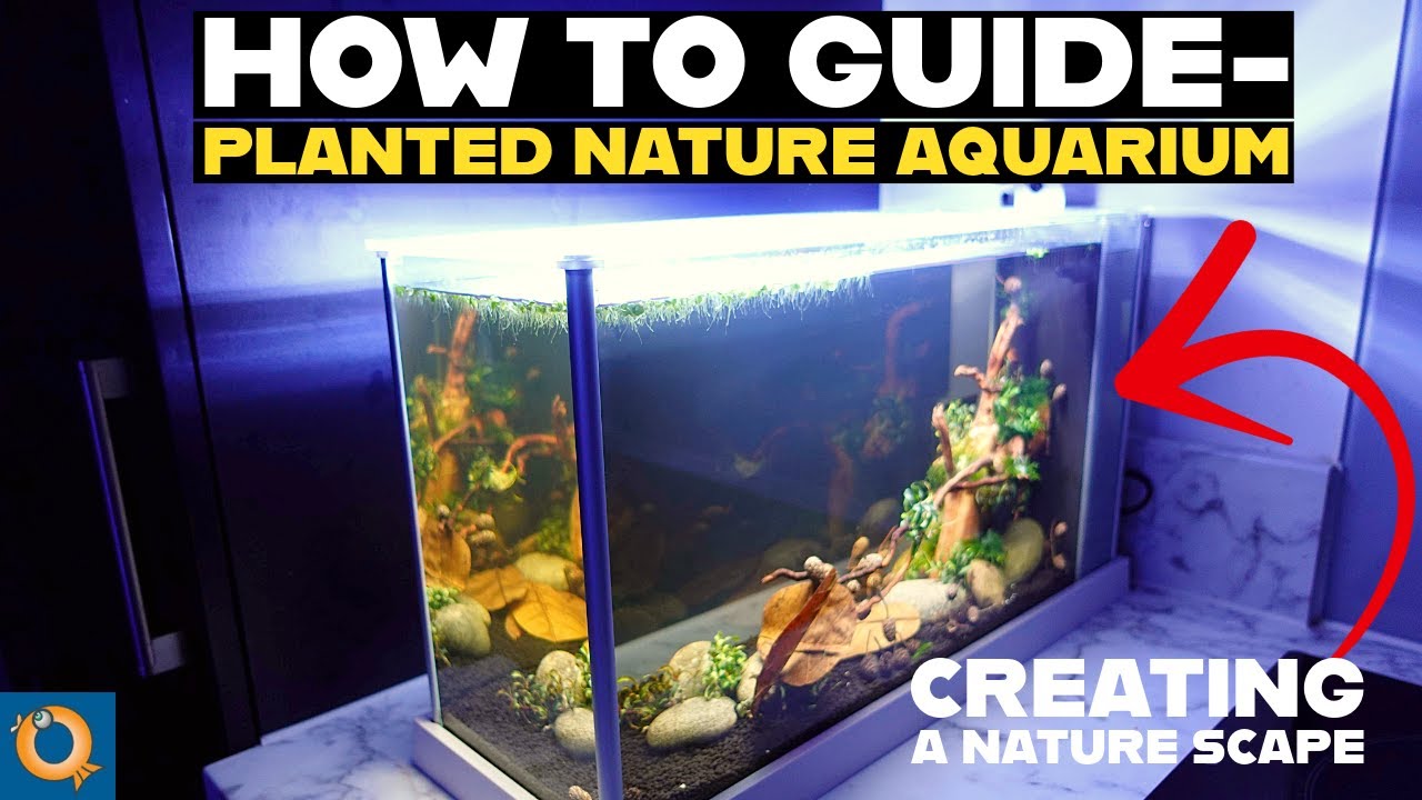 HOW TO SETUP A NANO AQUARIUM | PLANTED FISH TANK
