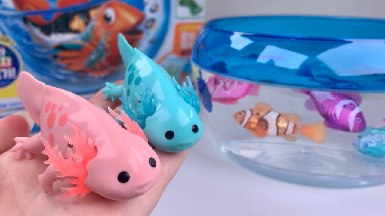 [🐰toy asmr🐰] Swimming Axolotl & Zuru Robo Aquarium Playset ASMR Satisfying with Unboxing Review Toys