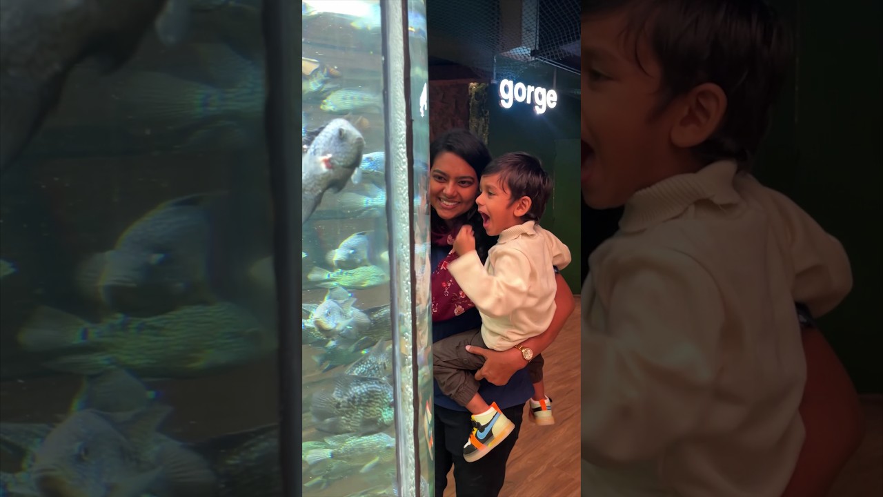 Best Spot to Take Your kids in this Holiday 🥰