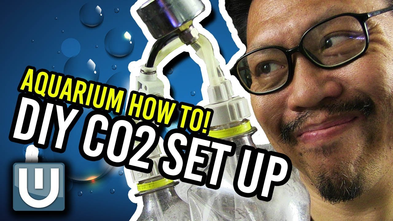 DIY Co2 for your Aquarium – How To