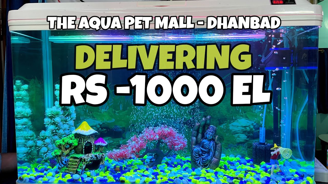 Delivering 3.5ft Moulded Aquarium Setup | RS – 1000 EL | Satisfied Customer | Aqua Pet Mall Dhanbad