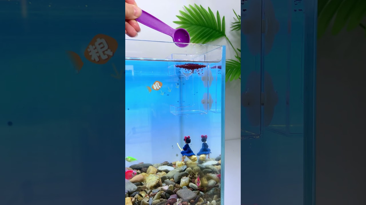 If you want to save fish food, use this dual-purpose food box #aquascape #fishtank #fishaquarium