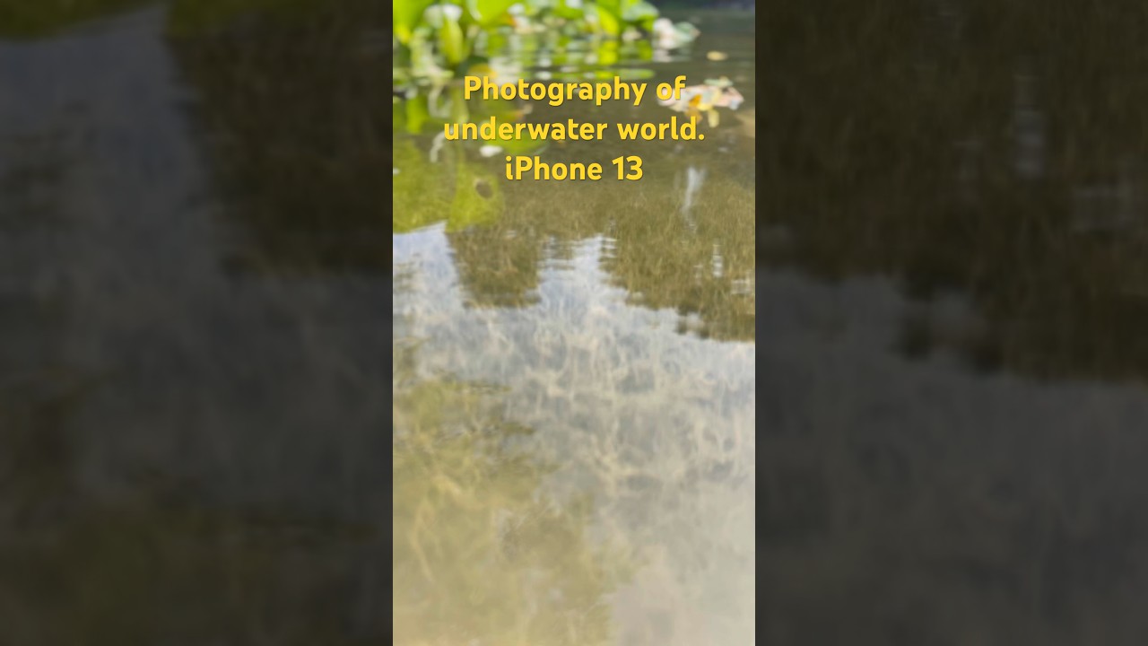 Photography of underwater world. #shorts