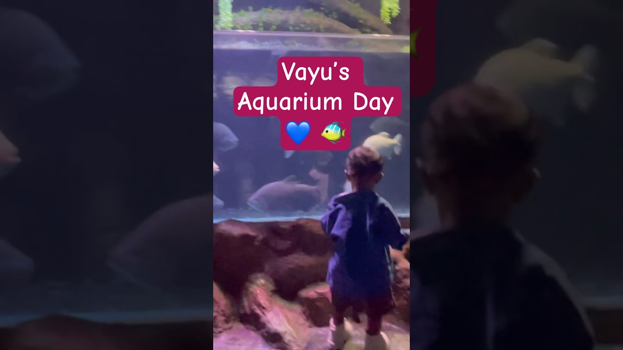 🐠 Vayu Enjoying the Aquarium🌊|Toddler Day Out Full of Wonder ✨Family Vlog #shorts #ytshorts #short