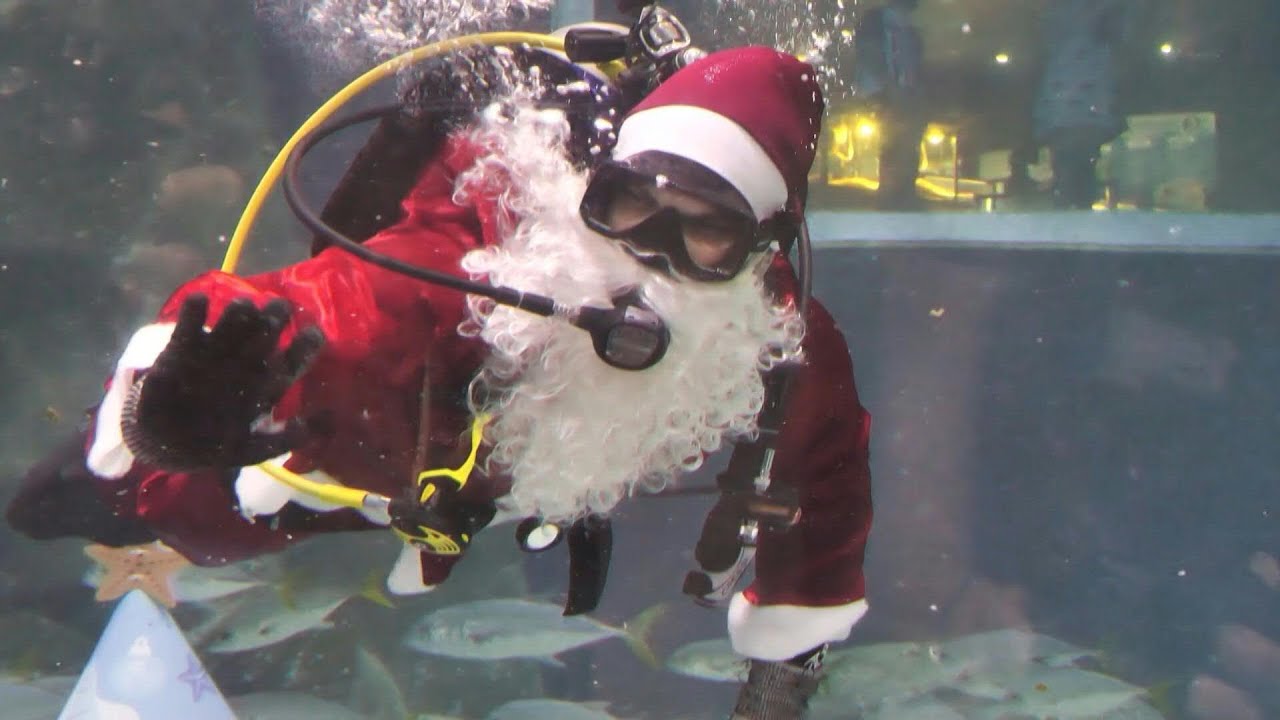 Santa Claus dives into Christmas at Rio de Janeiro aquarium | AFP