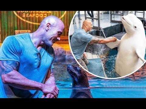 Dwayne 'The Rock' Johnson upsets animal rights advocates with pictures – Aquarium Visit