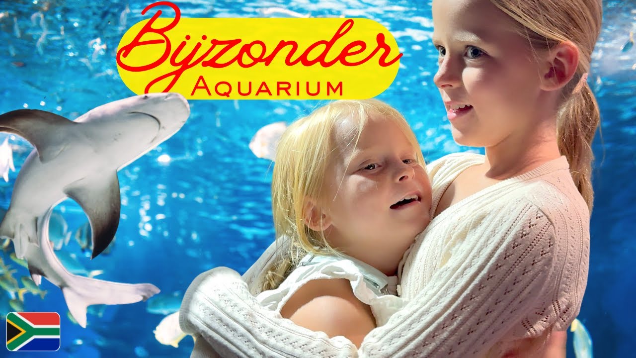 Waarom het Aquarium in Kaapstad Zo Bijzonder Is 🦈 (Two Oceans Aquarium) 🇿🇦 | Bellinga Vlog #3504