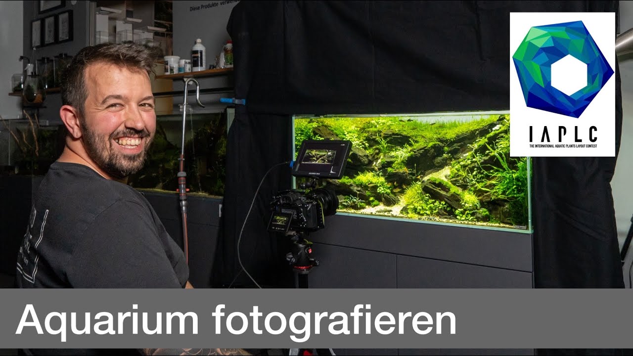 Aquarium fotografieren für Wettbewerbe! IAPLC 2022 | Liquid Nature