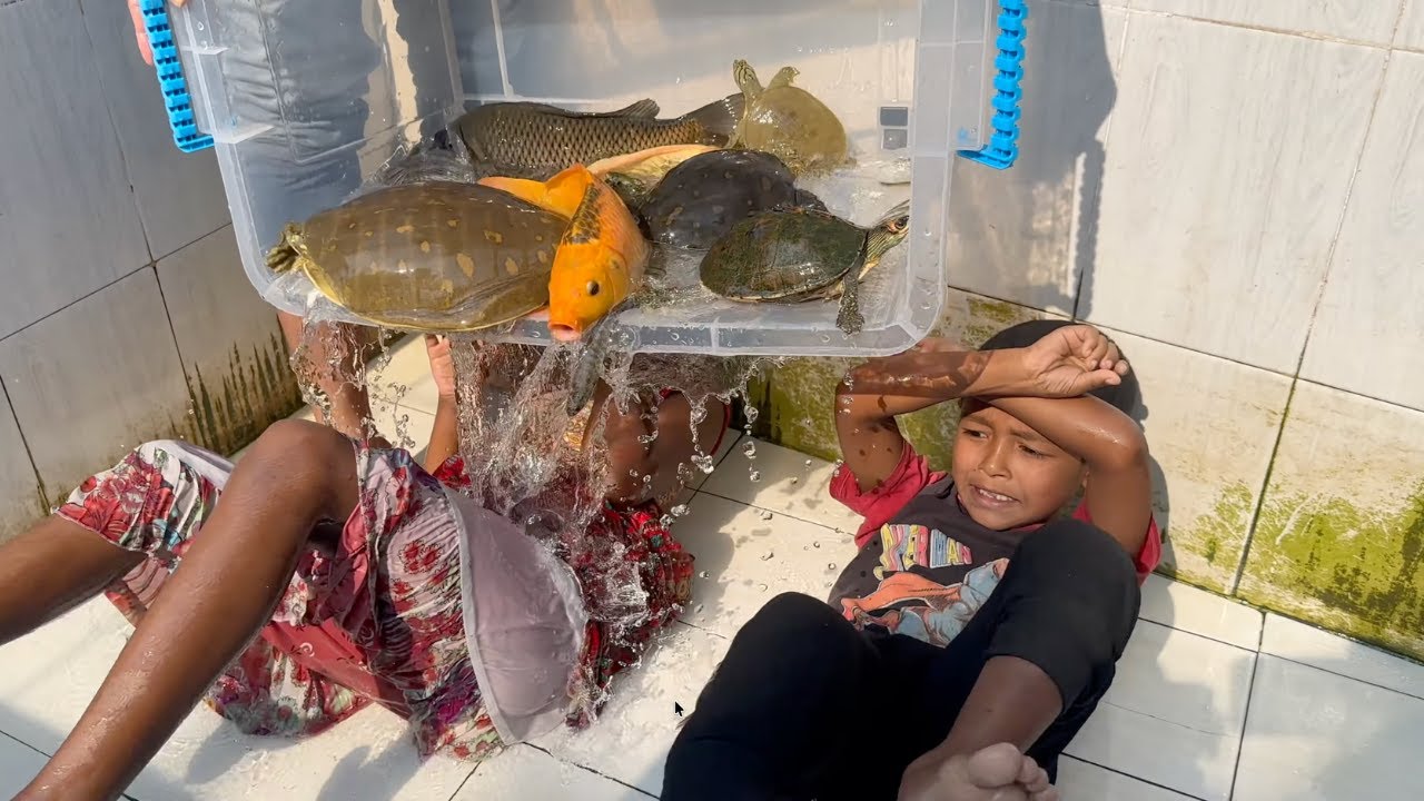Home Indoor Aquarium Fish Tank Cleaning Made Interesting with Kids #aquarium