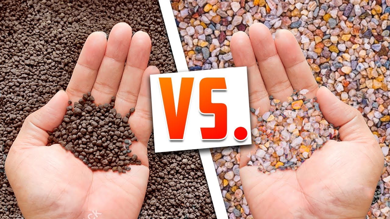 Which Is the Best Aquarium Substrate For Your Tank?