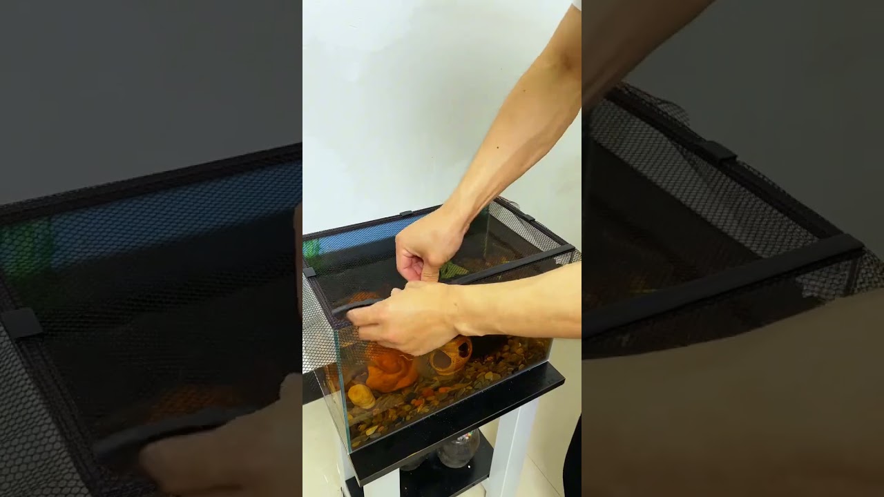 Anti-jumping net fish tank cover magnetic suction #fish #cover #fishtank #fishvideo #trending #diy