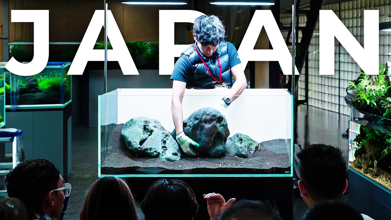 Building the Perfect Nature Aquarium in Japan | Yusuke Homma Masterclass