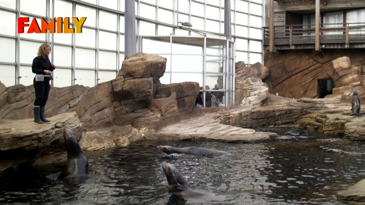 Plongée XXL dans les coulisses du plus grand aquarium de France