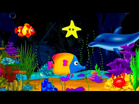Soothing fishes 🐠 Calming Undersea Animation 🪸 Aquarium 🐟 Baby Lullaby 💤