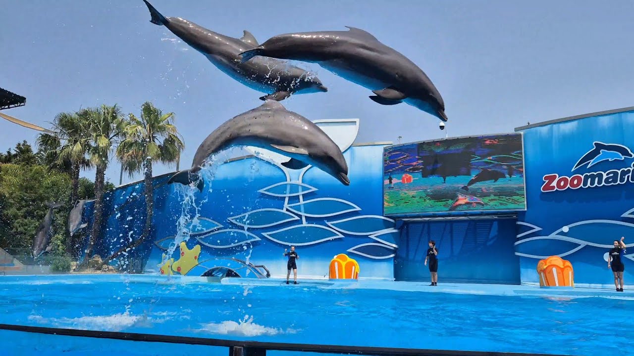 🐬 ZooMarine Algarve 🦭 Family fun with Dolphins, Seals, Aquarium, Dinosaurs, water slides and play.