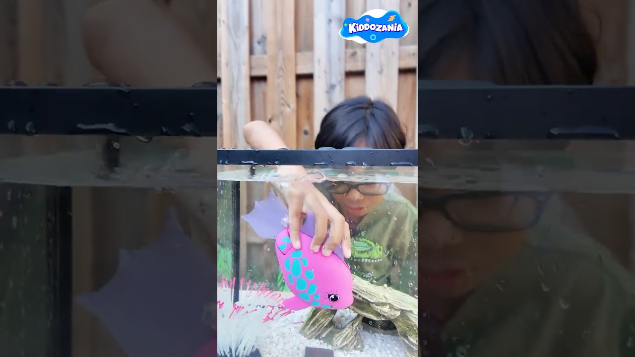Sea Animals Toy – Robo Fish Aquarium Water Play