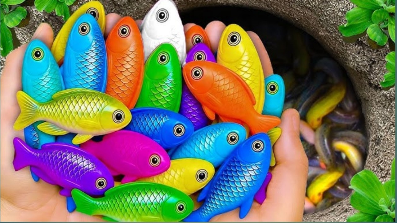 Catch beautiful aquarium fish in small pond: baby turtles, eels, pencil fish, guppies blu, iguanas