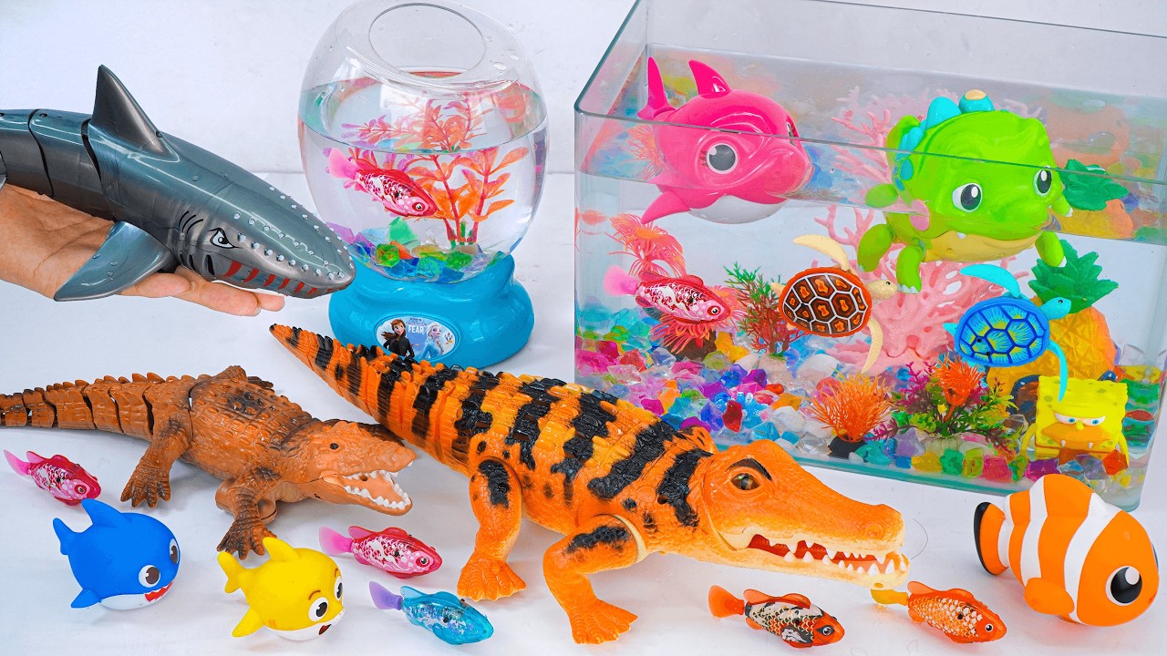 [🐰toy asmr🐰] Zuru Robo Alive Shark & Aquarium Playset ASMR Satisfying with Unboxing | Review Toys