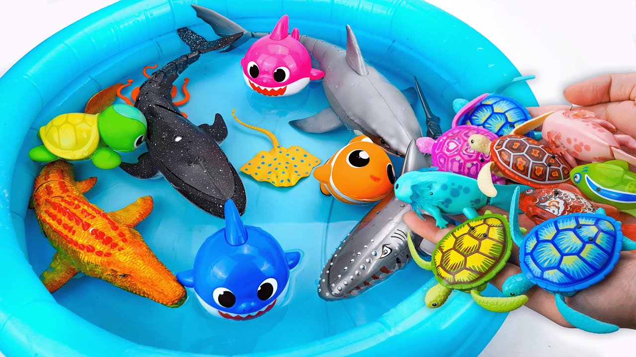 [🐋toy asmr 🐋] Zuru Robo Fish & Robo Turtle & Sea Animal Toys Water ASMR | Satisfying Unboxing