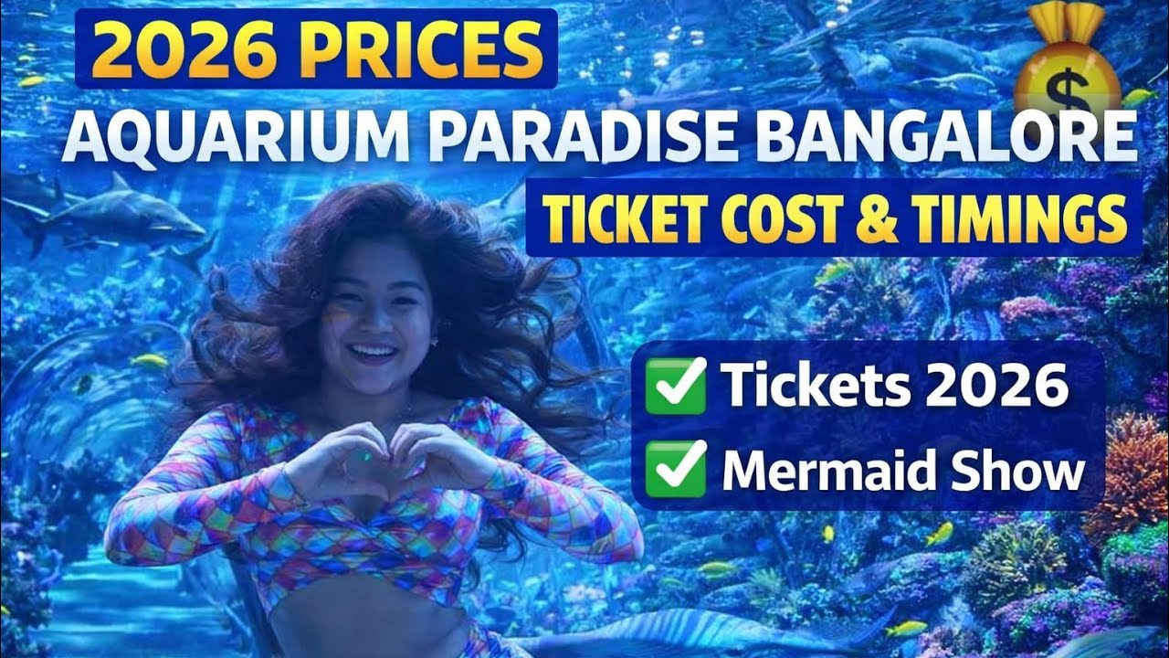 Aquarium Paradise Bangalore 2026 Ticket Prices 💰 | Mermaid Show Timings & Entry Details