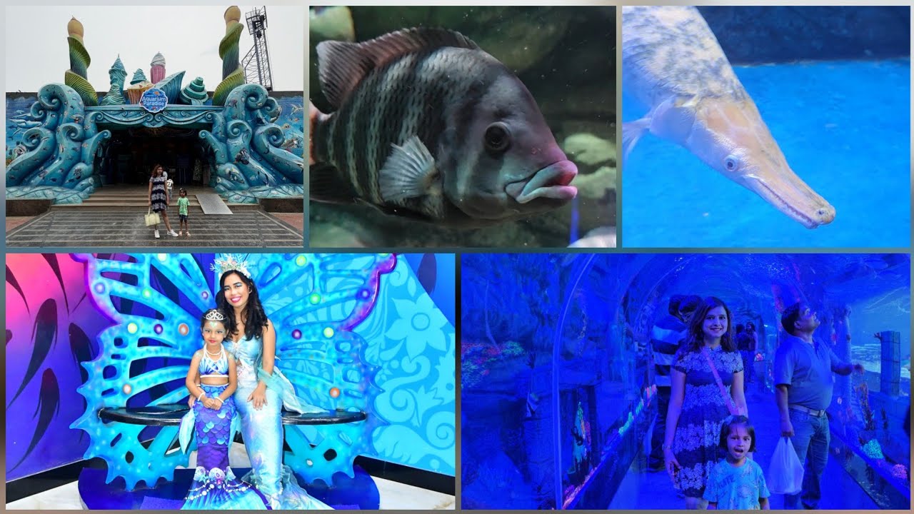 Aquarium Paradise Bengaluru Complete Tour | Under Water Tunnel Walk & Real Mermaid Show Vlog! 🐠🐟