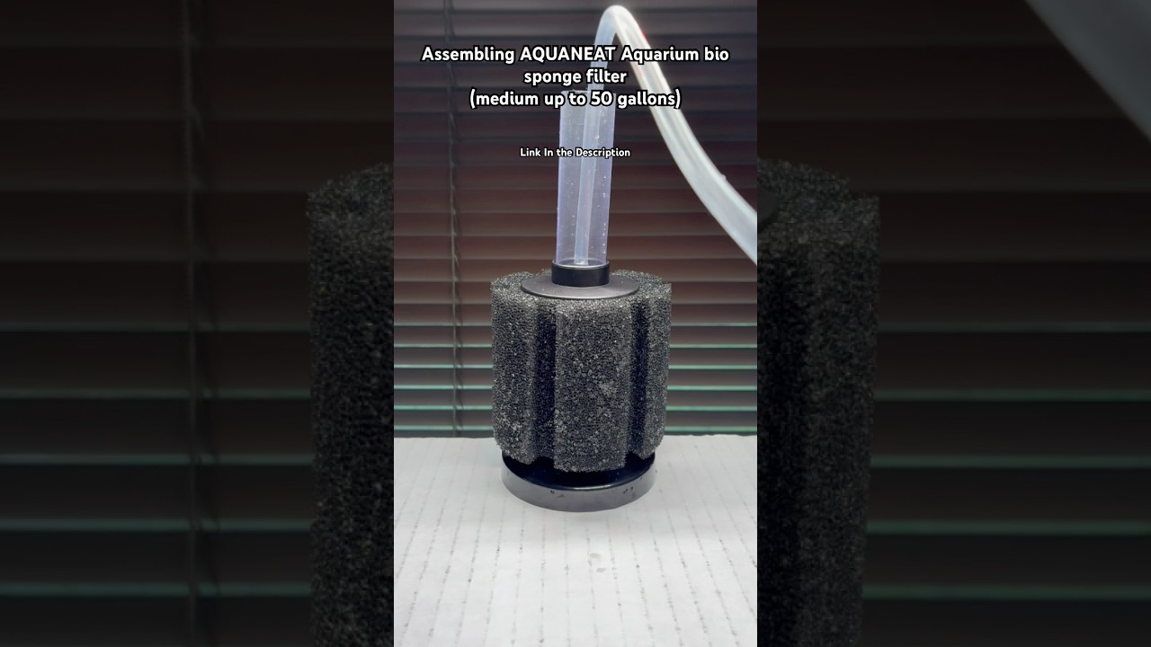 Assembling Sponge Filter #spongefilter #aquarium #aquariummaintenance um
