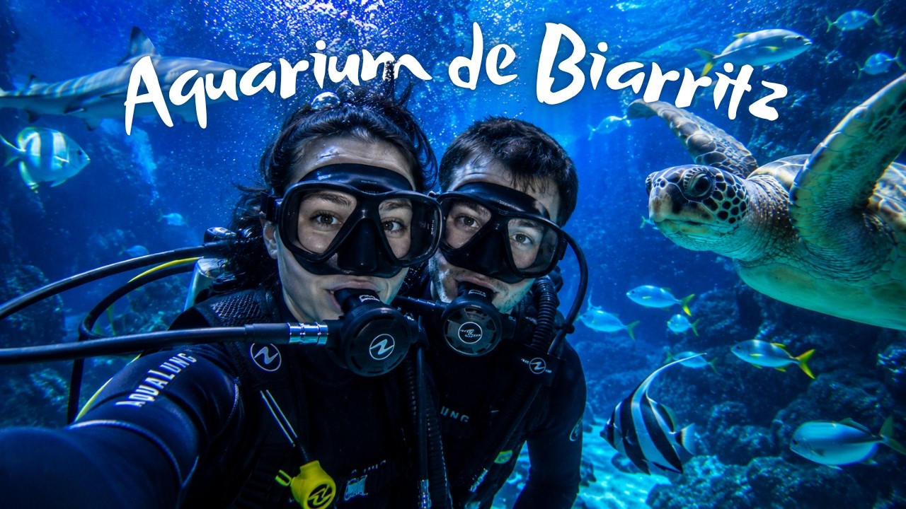 Dans les profondeurs de l’Aquarium de Biarritz | Requins, tortues & méduses !
