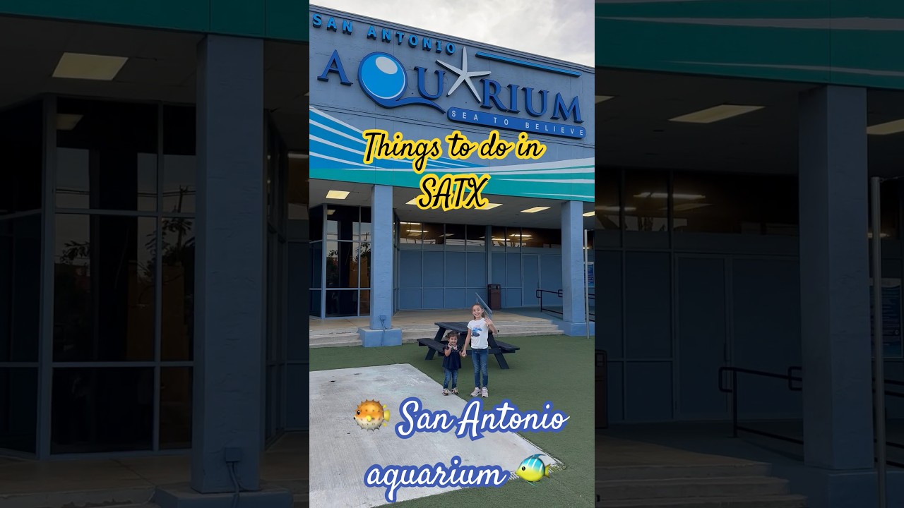 Day at the San Antonio Aquarium