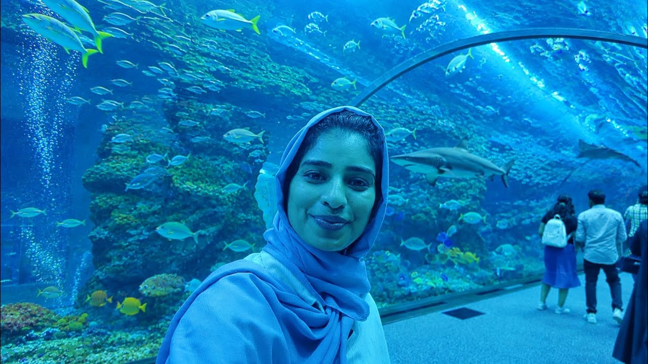 🦈 Dubai Mall Aquarium & Underwater Zoo 😱 ഇത്രയും വലിയ Aquarium ആണോ! || Aquarium & Underwater Zoo”
