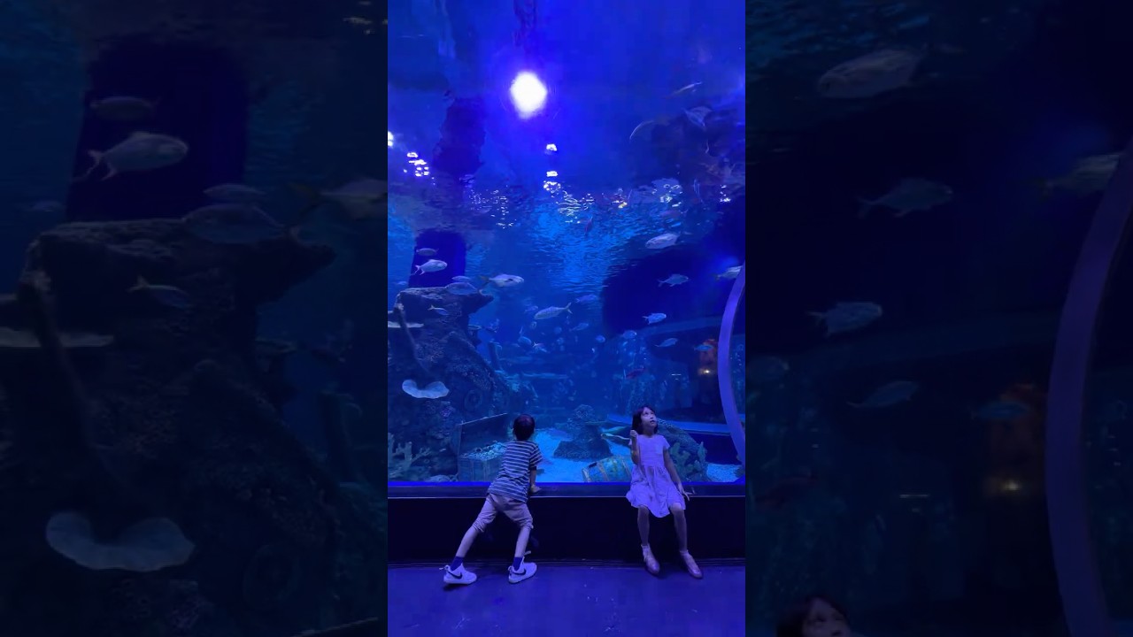 Getting Inside A Giant Aquarium #fish #aquarium #shark #family #kids #weekend #weekendvibes