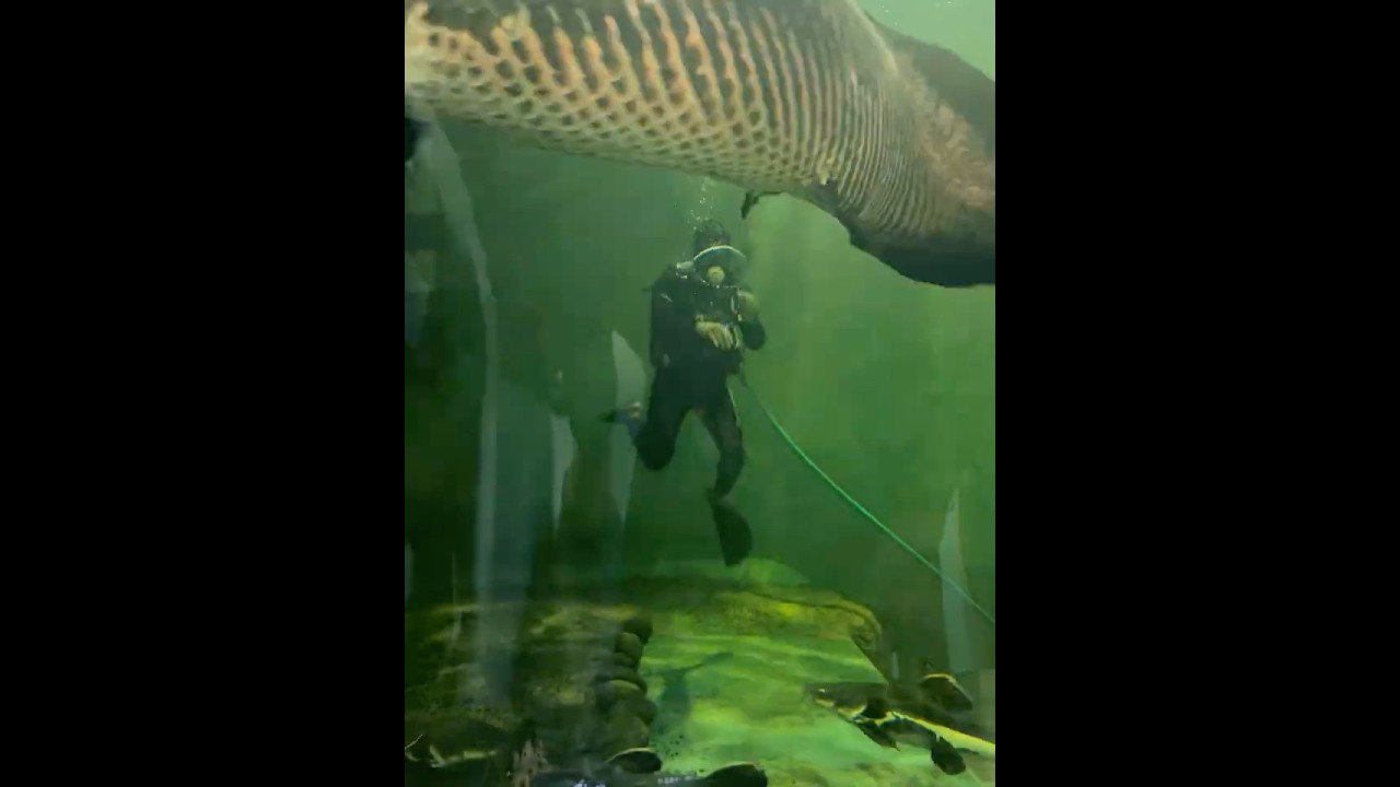 Marine World Public Aquarium #fish #marinelife #kerala #trip #aquarium
