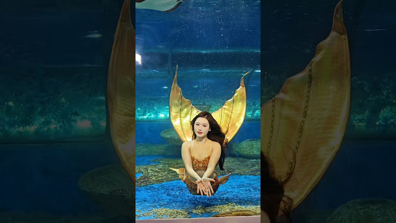 #Mermaid #Aquarium DY 人鱼🧜🏻‍♀️泡泡雨