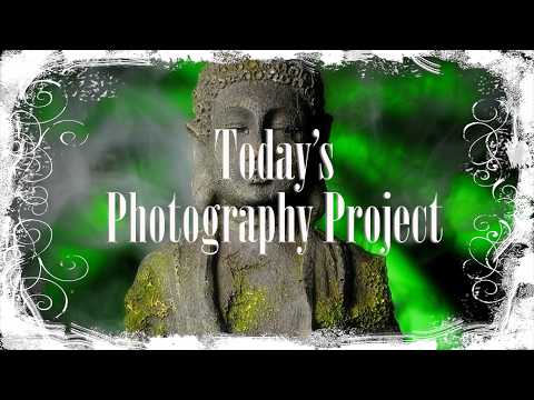 Photography Project Aquarium Statue