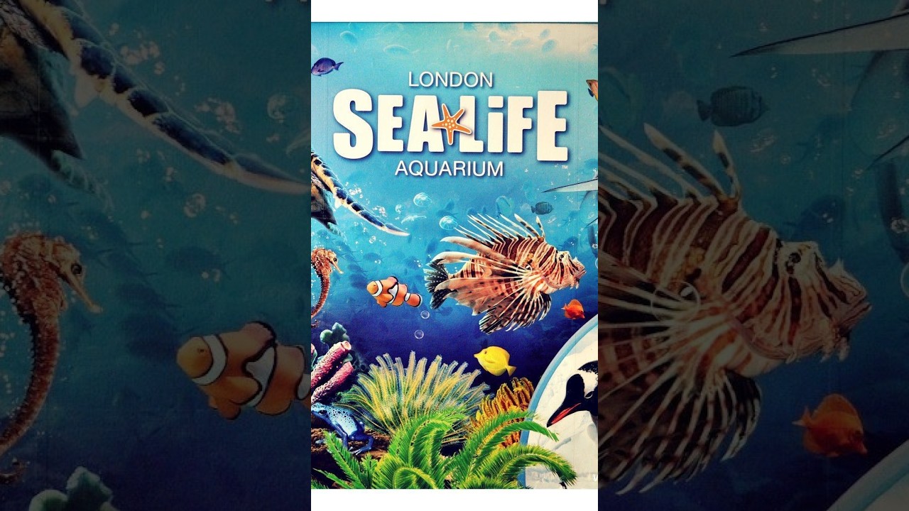 Sea Life Aquarium Experience – London UK