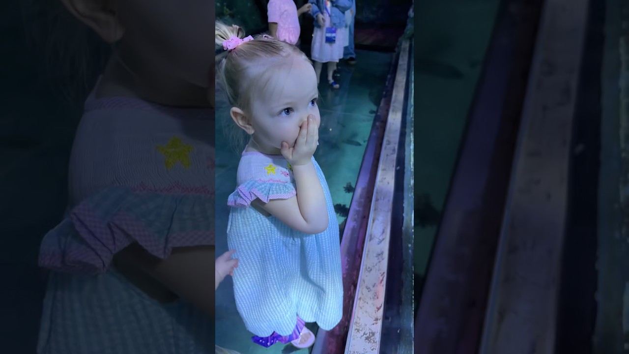 She’s OBSESSED with mermaids, so we’re meeting one… 🥹🧜‍♀️ #kayandtayofficial