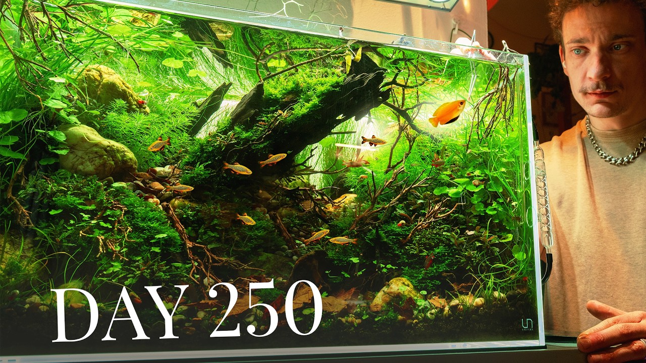 The Evolution of an Aquarium in 250 Days