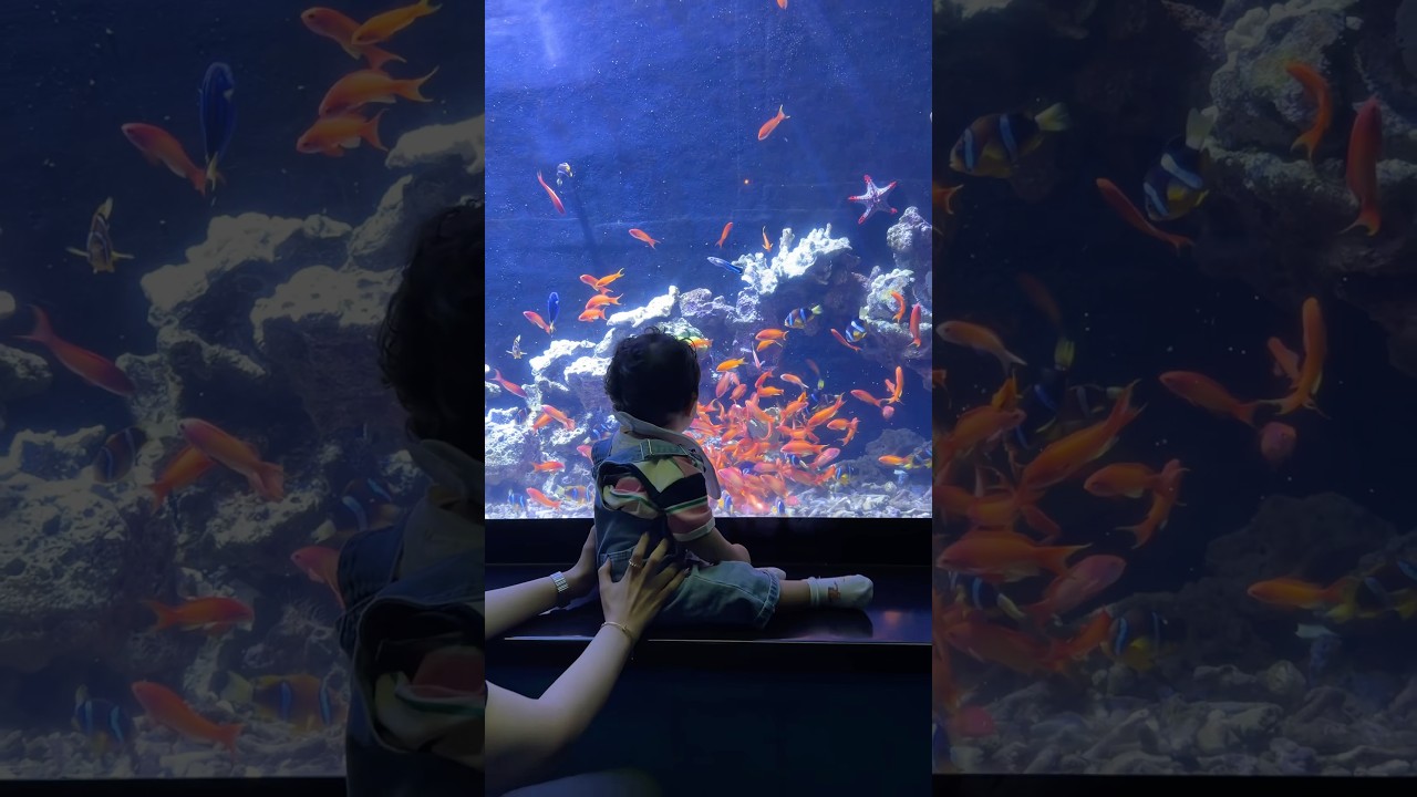 وديت تقي الاكواريوم 🐟🩵