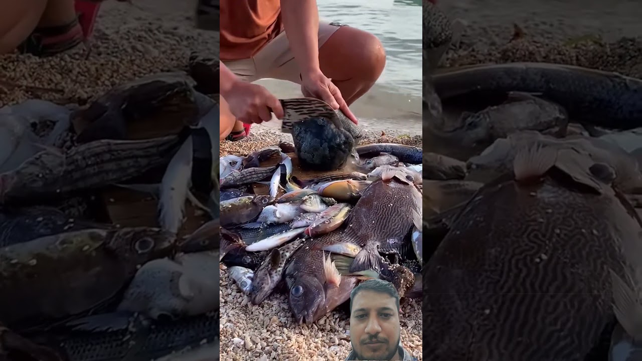 Amazing sea and fish 🐟 😍 #fishing #fishinglife #aquarium #nature #sea